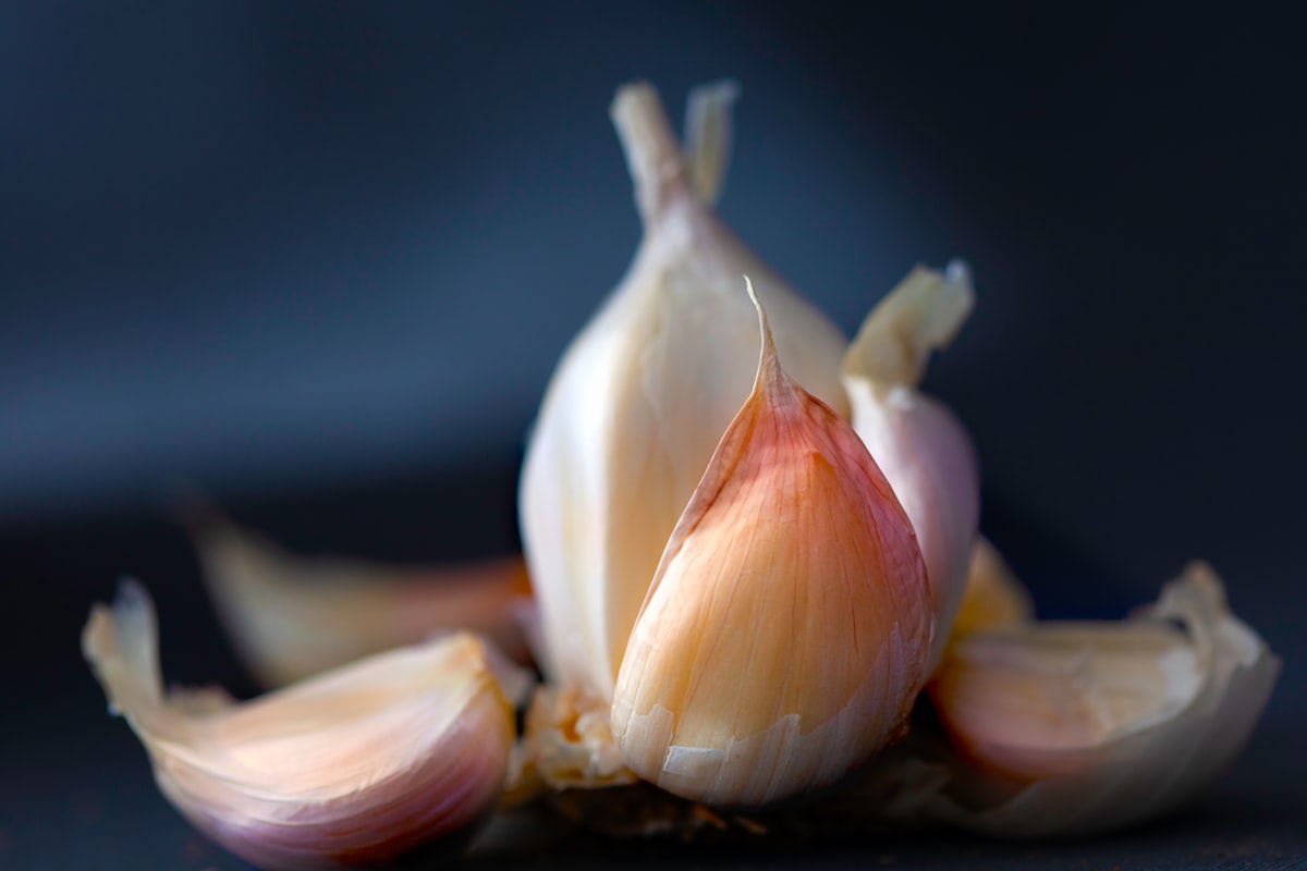 Especias aromáticas